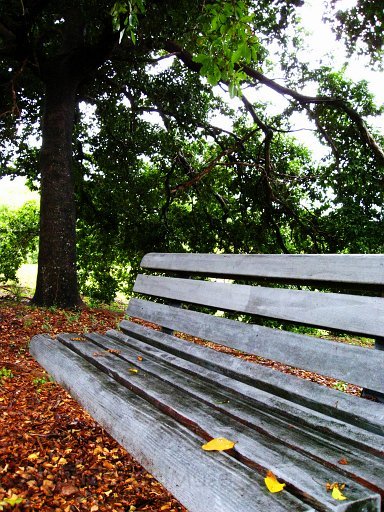 nursing home - (22).jpg